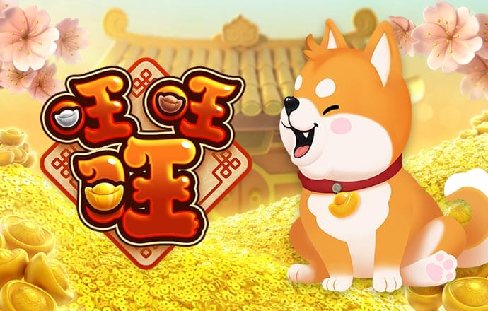 丝瓜视频视频污app