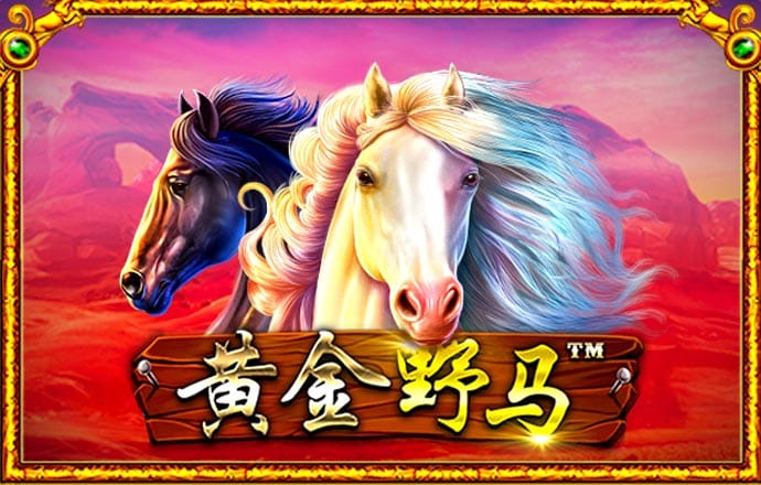 k体育最新官网app
