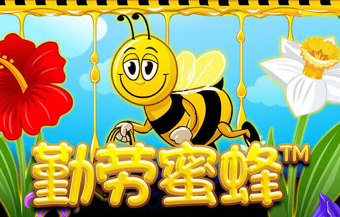 im电竞平台官网入口